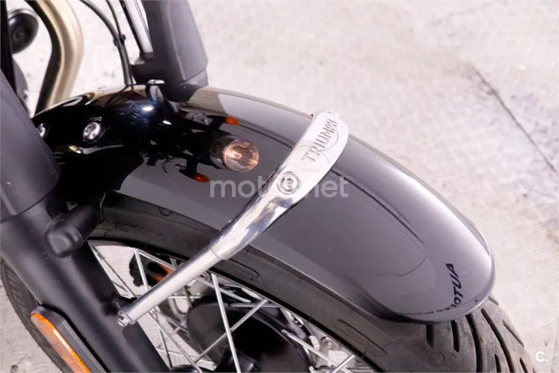 Triumph Bonneville T100 – Vista 19
