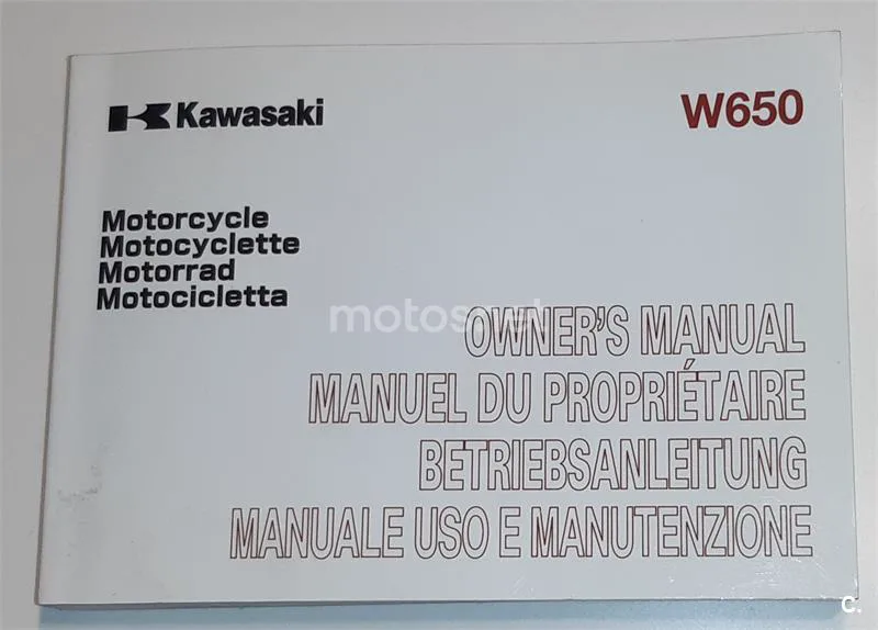 Kawasaki W 650 – Vista 13