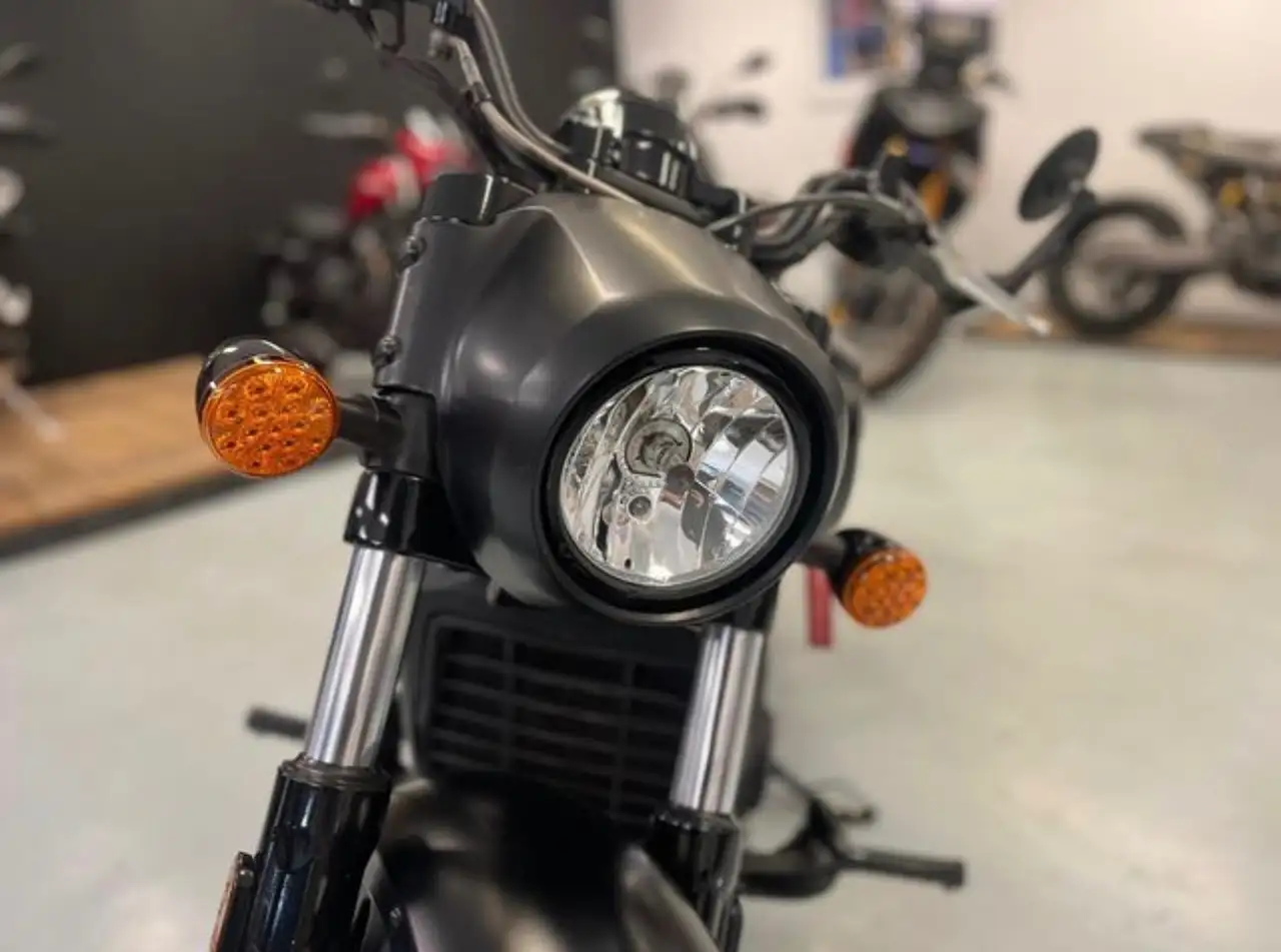 Indian Scout – Vista 11