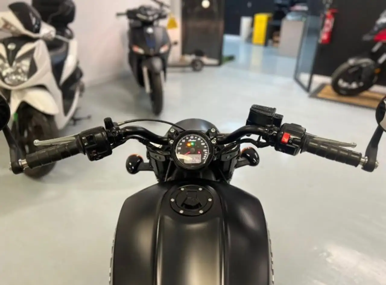 Indian Scout – Vista 10