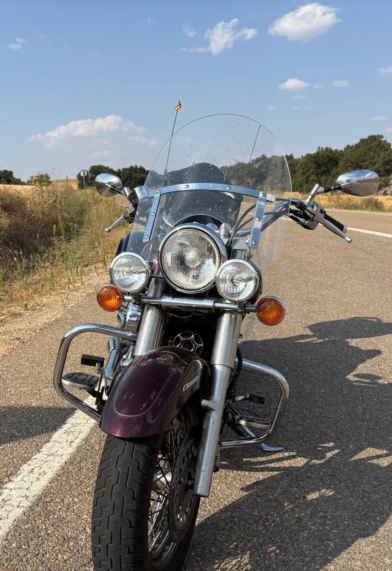 Yamaha XVS 1100 – Vista 4