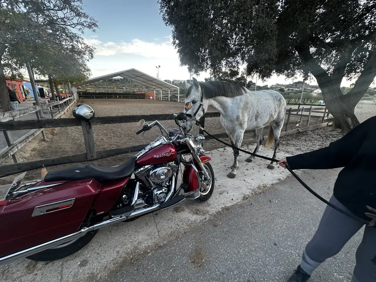 Harley-Davidson Road King - Vista 3