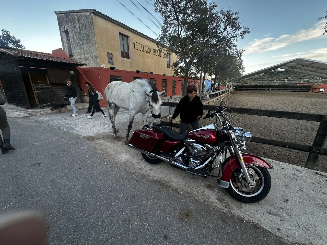 Harley-Davidson Road King - Vista 7