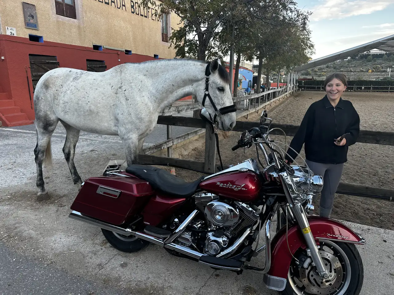 Harley-Davidson Road King - Vista 8