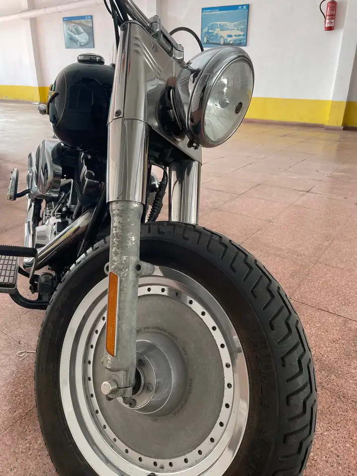 Harley-Davidson Fat Boy – Vista 5