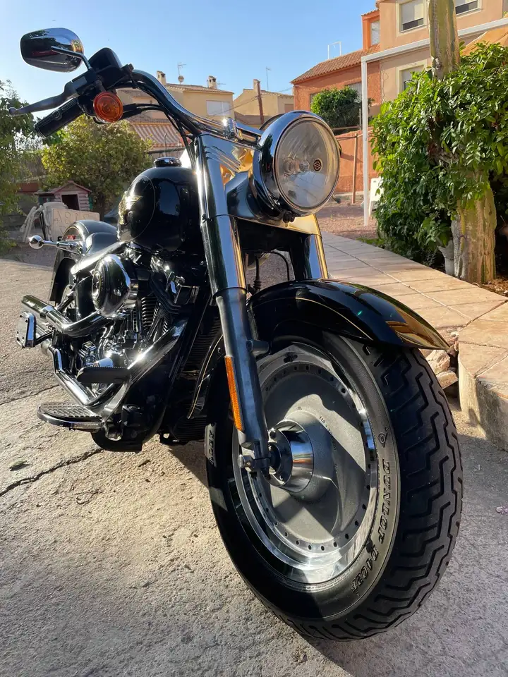Harley-Davidson Fat Boy - Vista 3