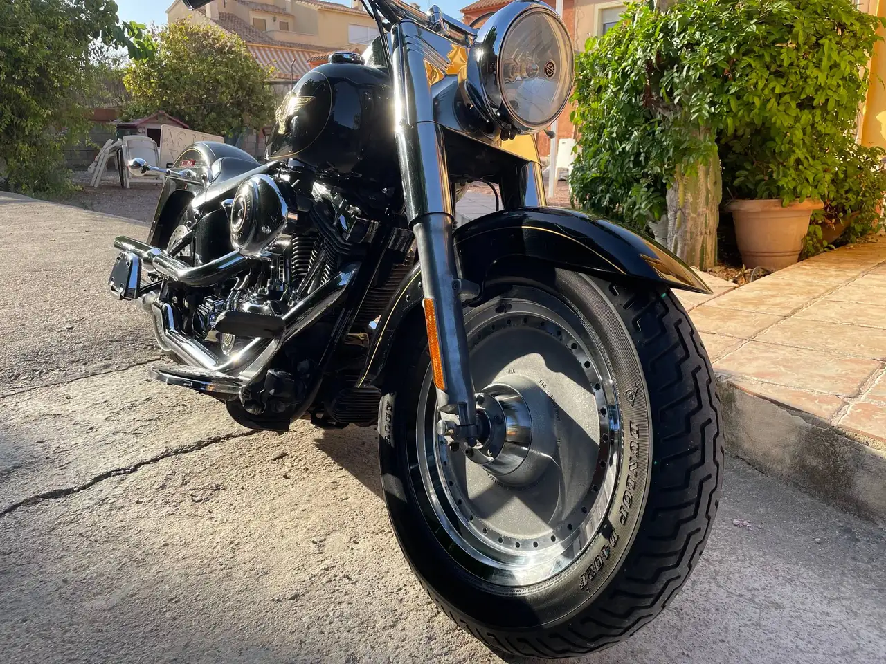 Harley-Davidson Fat Boy - Vista 5