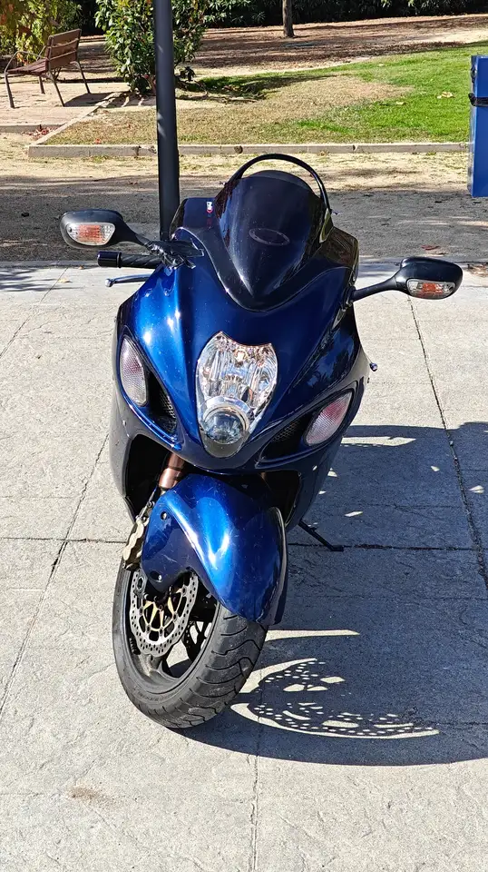 Suzuki Hayabusa – Vista 8