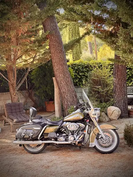 Harley-Davidson Road King 11.000 € 2007 Madrid - 1