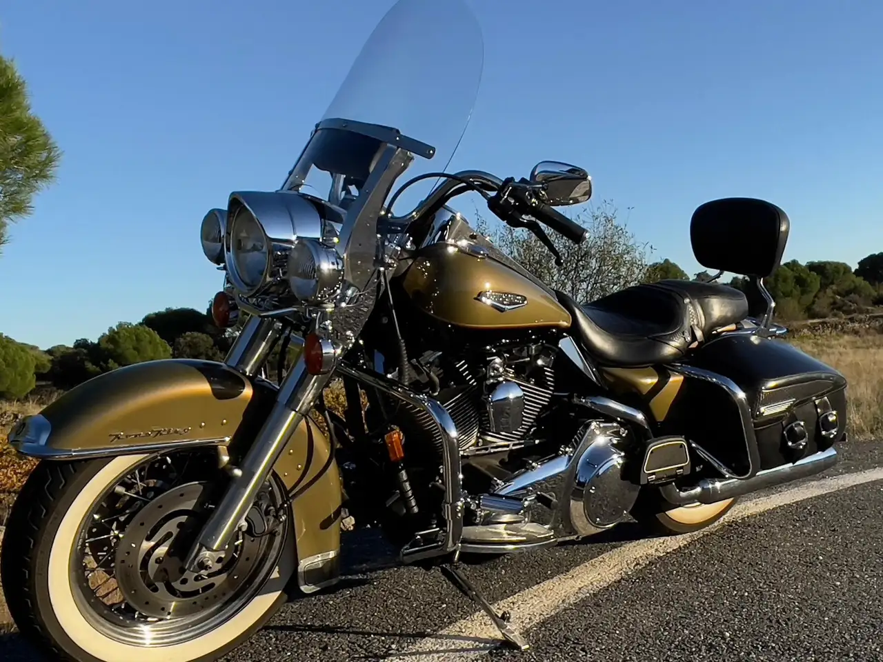 Harley-Davidson Road King - Vista 16