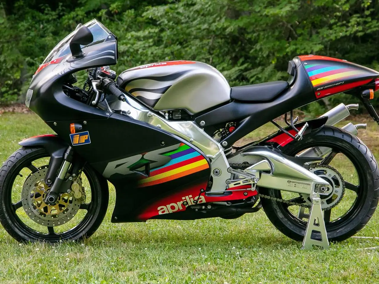 Aprilia RS 250 – Vista 11