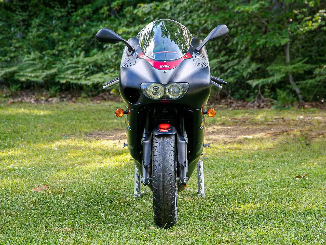 Aprilia RS 250 – Vista 22