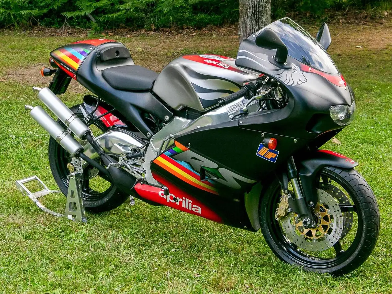 Aprilia RS 250 – Vista 8