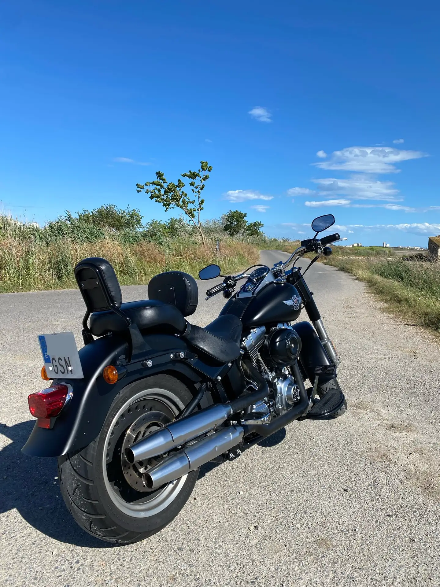 Harley-Davidson Fat Boy – Vista 2