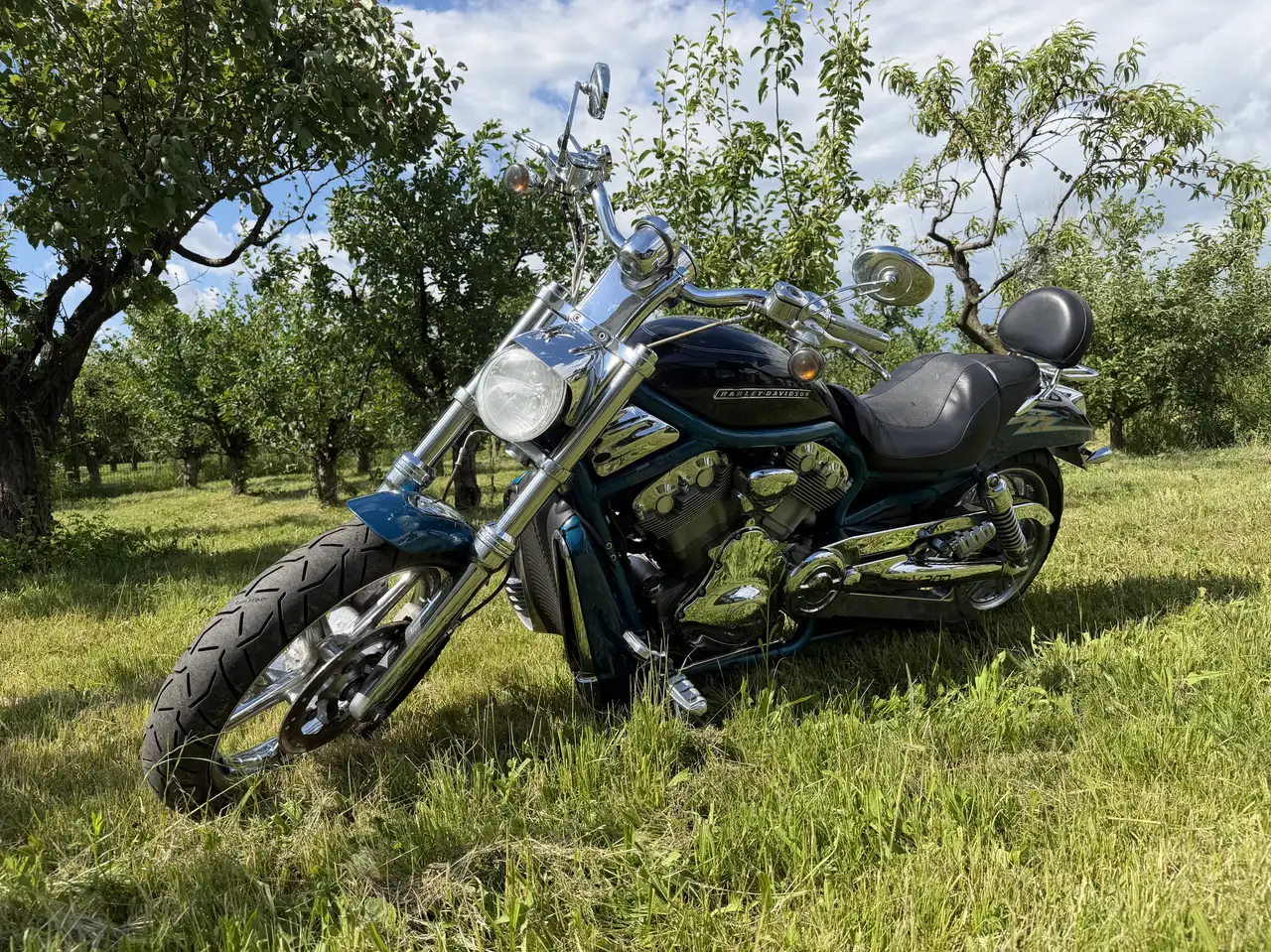 Harley-Davidson V-Rod - Vista 5
