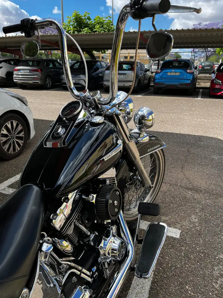 Harley-Davidson Softail Deluxe – Vista 4