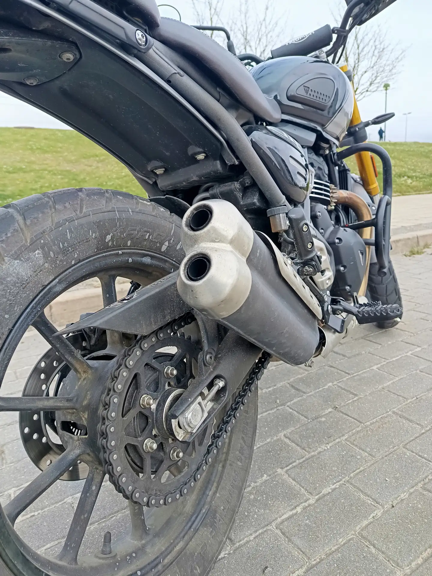 Triumph Scrambler 400 X – Vista 8
