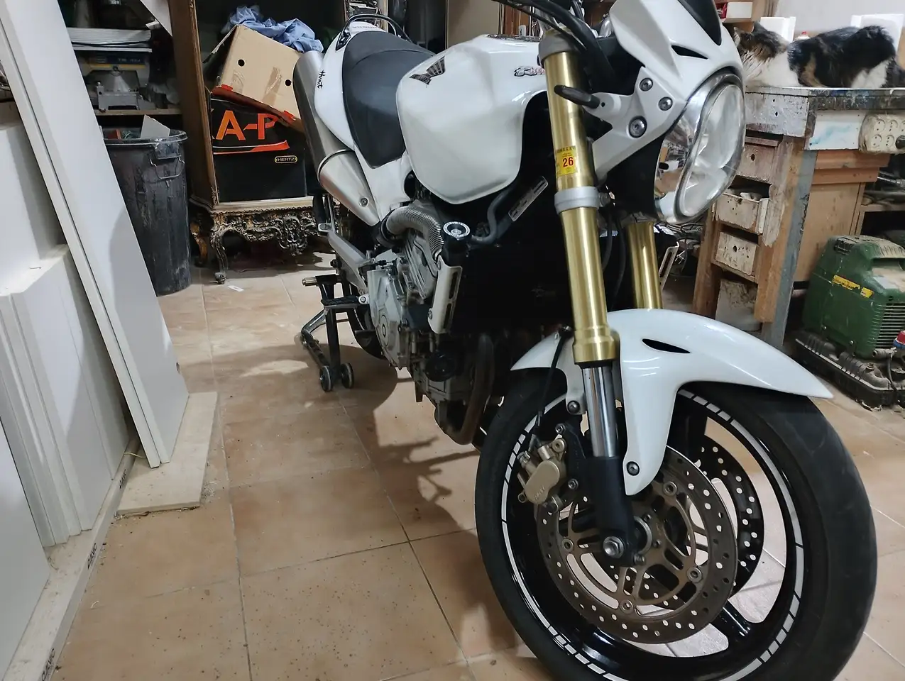 Honda Hornet – Vista 2