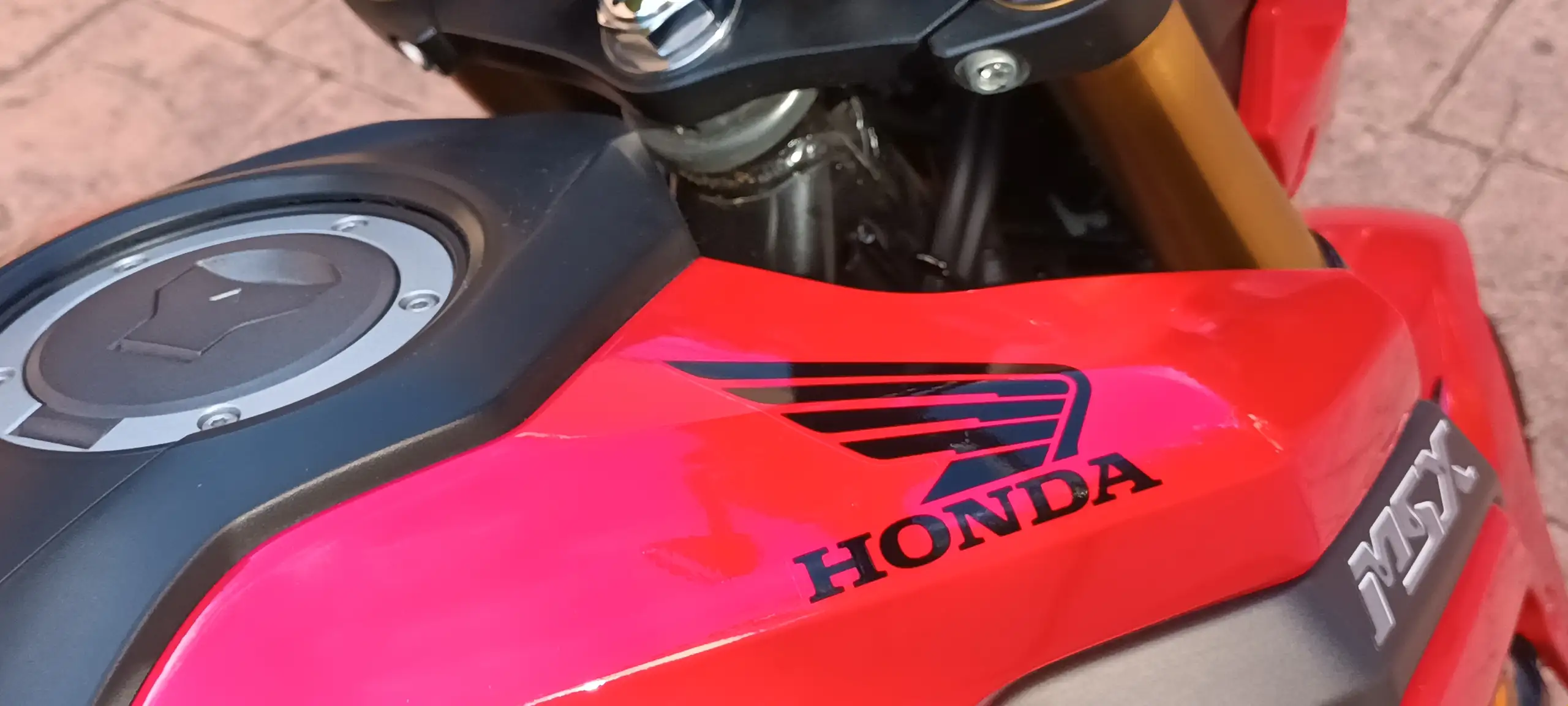Honda MSX 125 – Vista 11