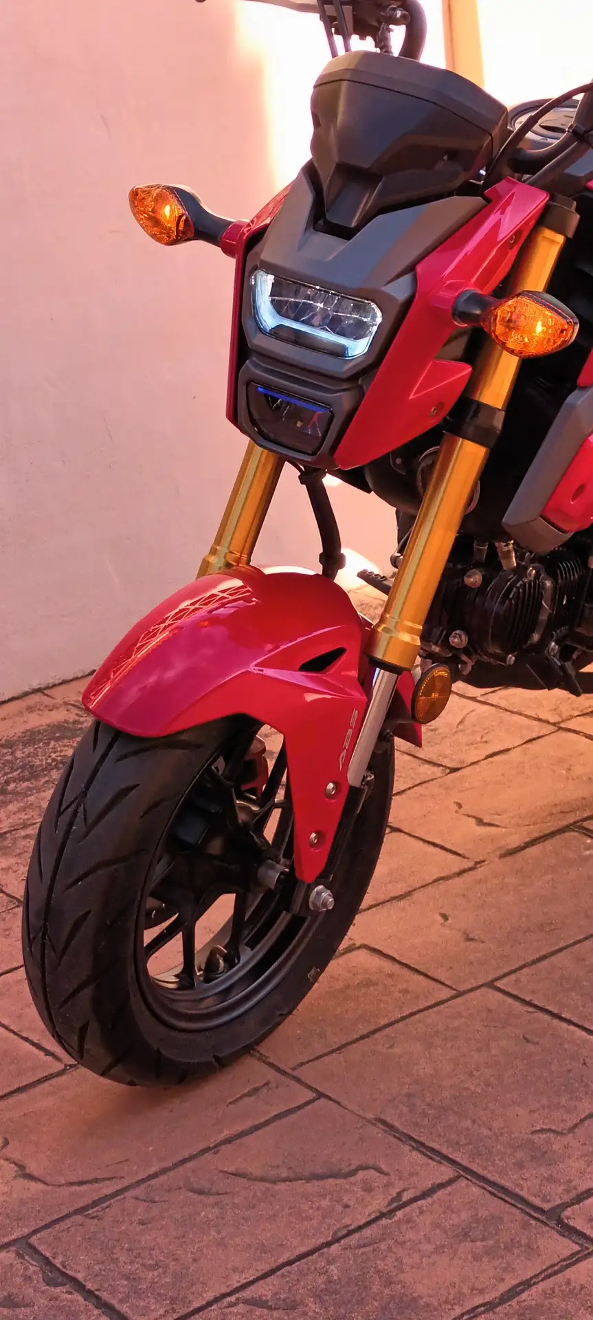 Honda MSX 125 – Vista 13