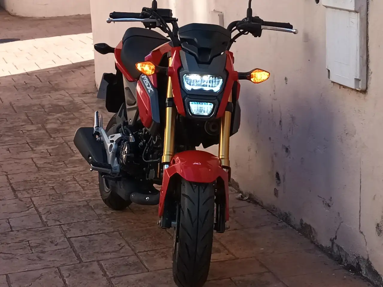 Honda MSX 125 – Vista 4