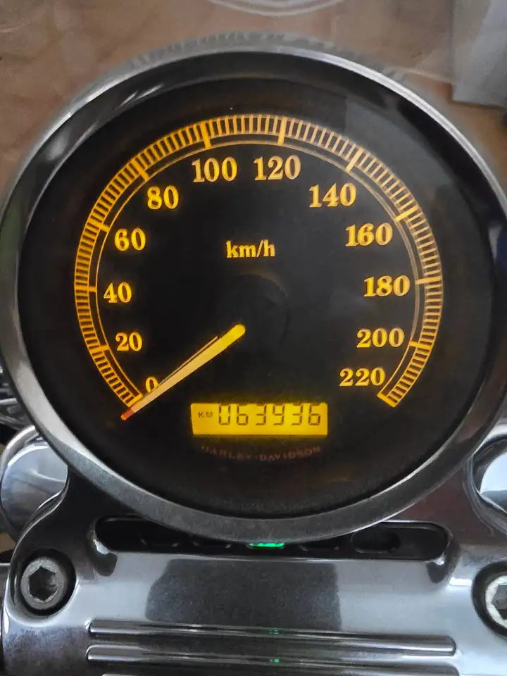 Harley-Davidson Sportster 1200 - Vista 7