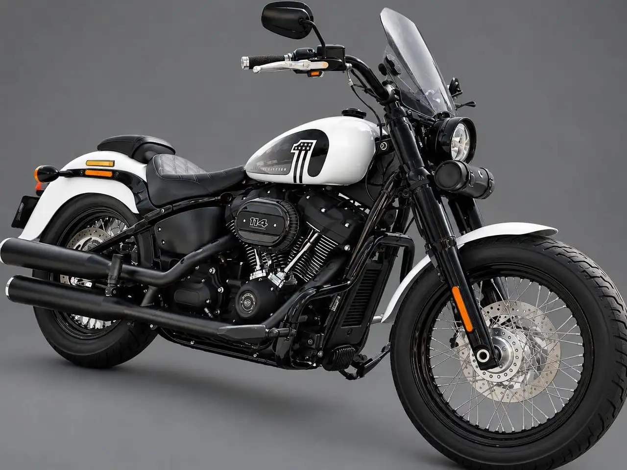 Harley-Davidson Softail - Vista 3
