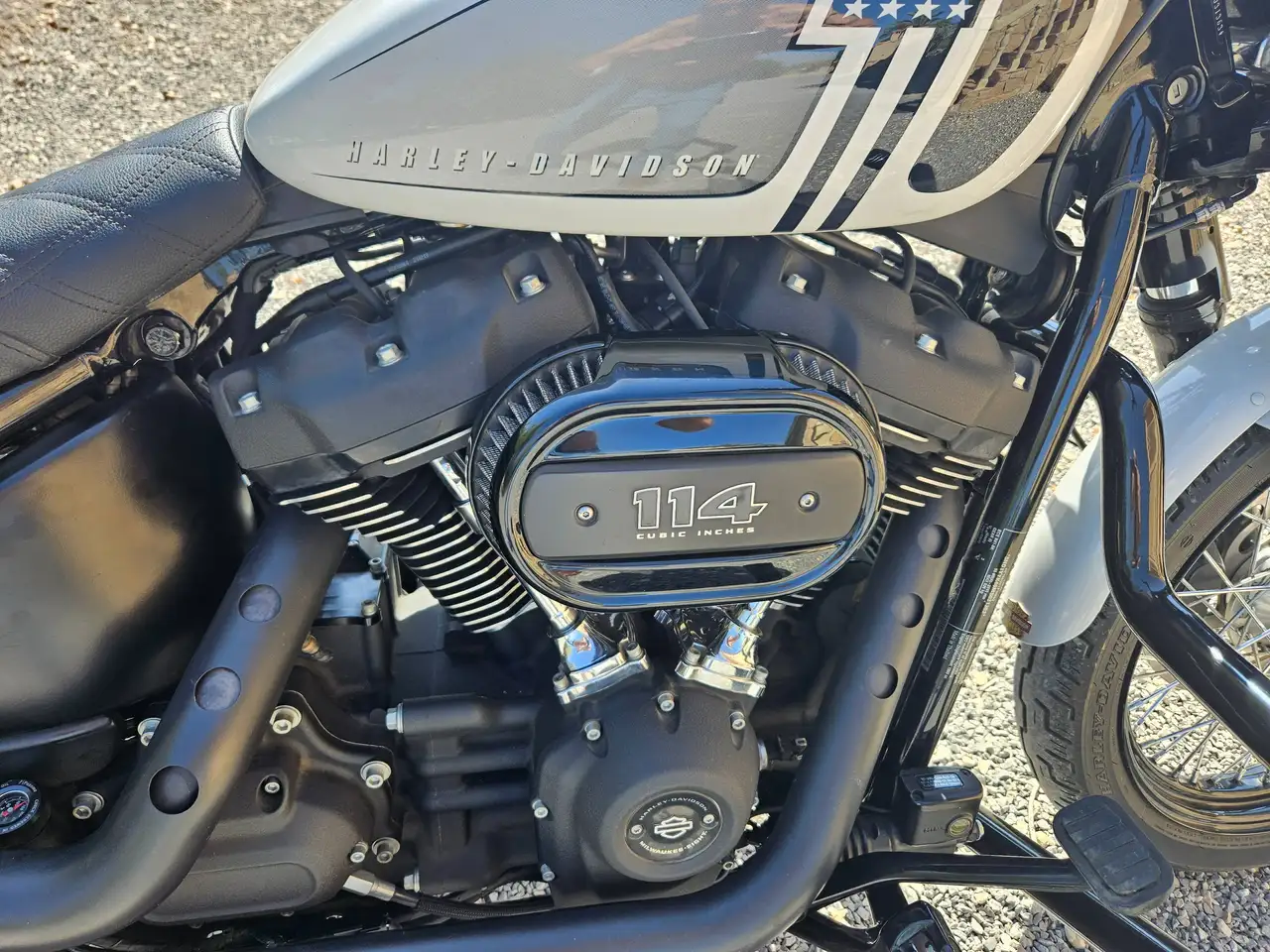 Harley-Davidson Softail - Vista 4