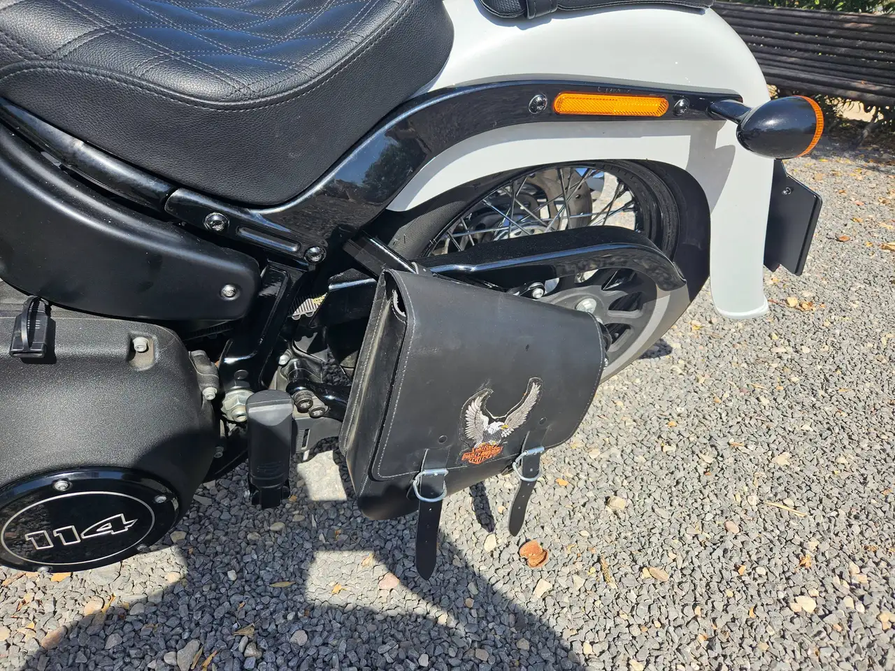 Harley-Davidson Softail - Vista 5
