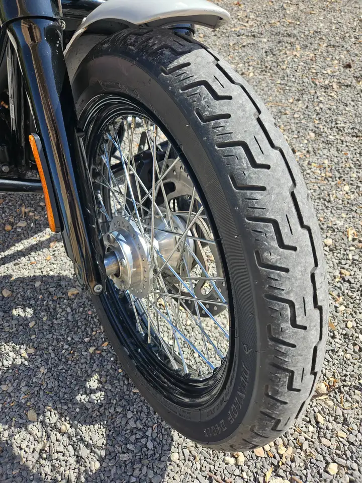 Harley-Davidson Softail - Vista 8