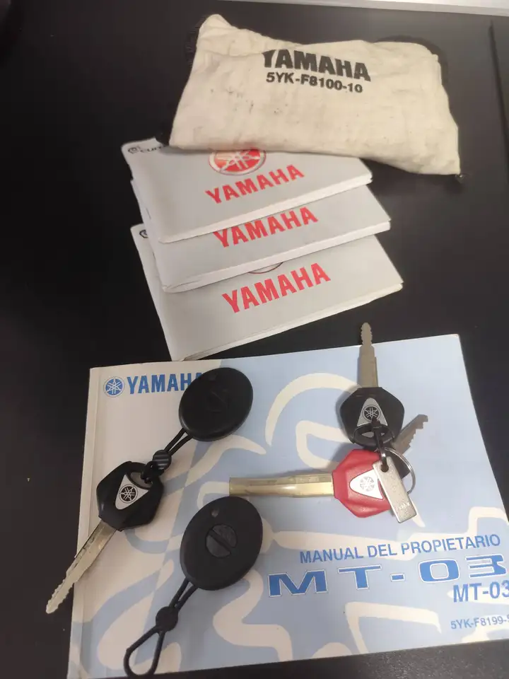Yamaha MT-03 – Vista 9