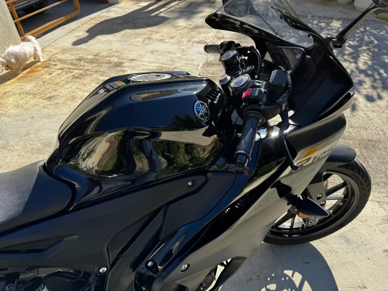 Yamaha R125 – Vista 8
