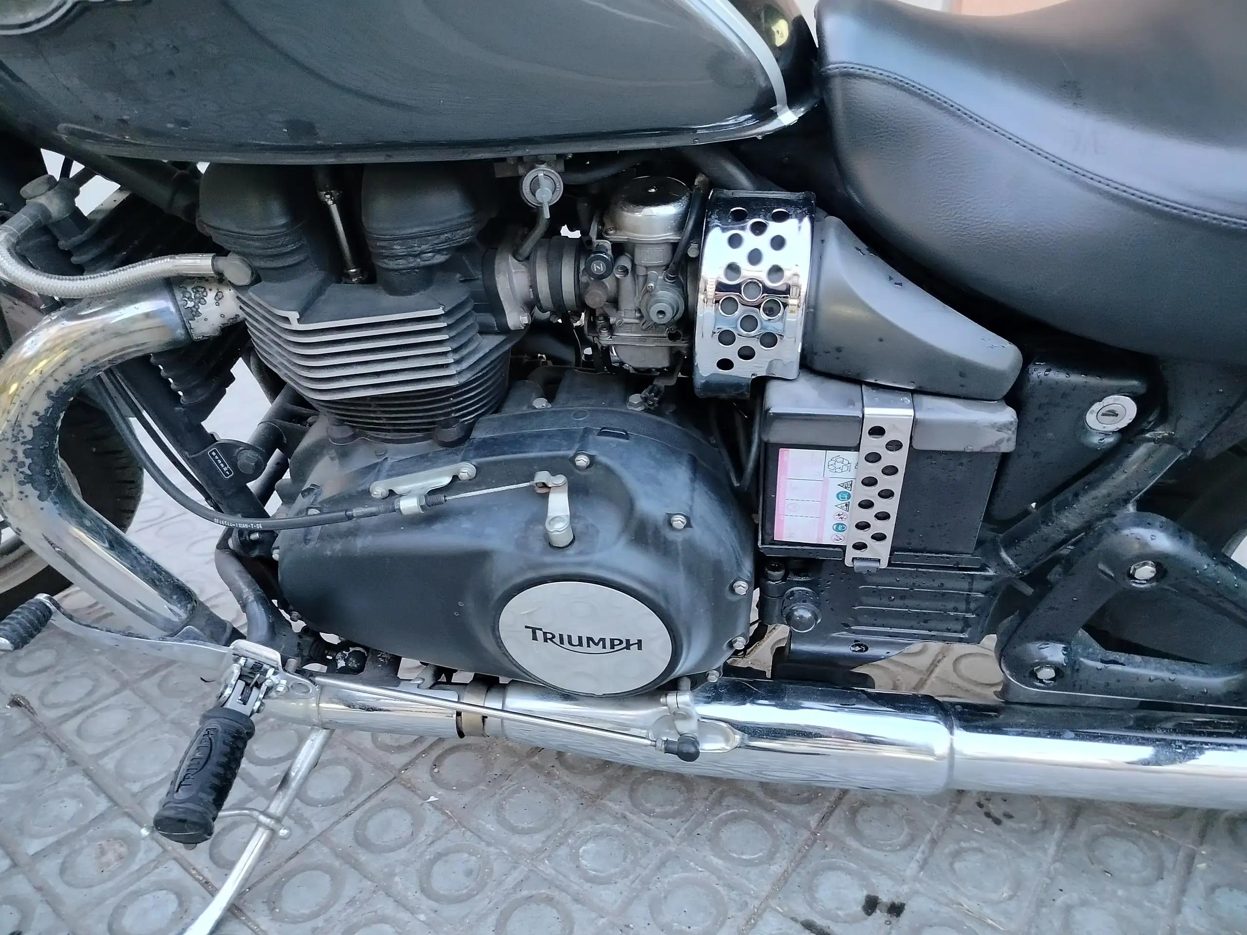Triumph Speedmaster – Vista 13