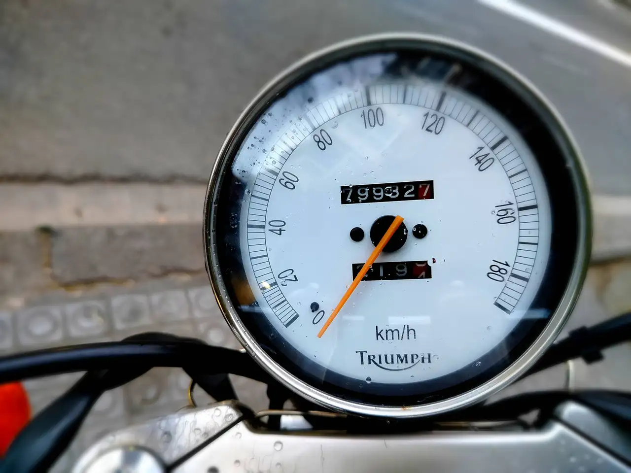 Triumph Speedmaster – Vista 6