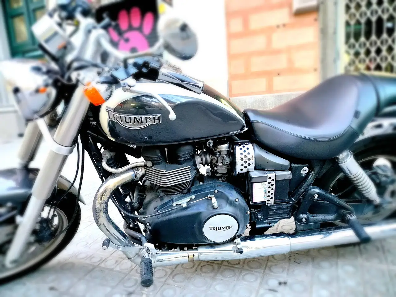 Triumph Speedmaster – Vista 8