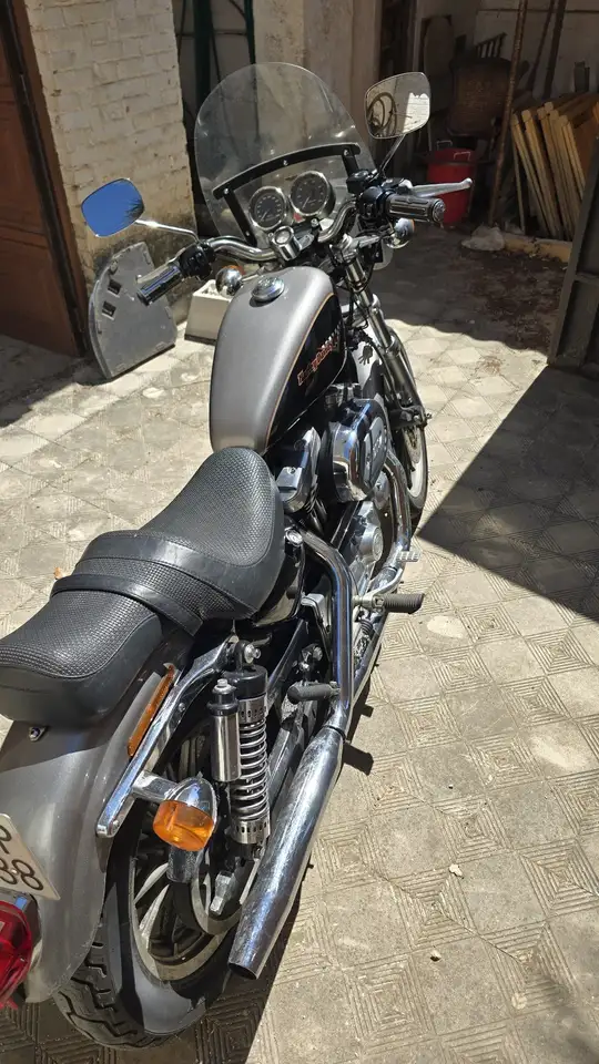 Harley-Davidson Sportster 1200 - Vista 6