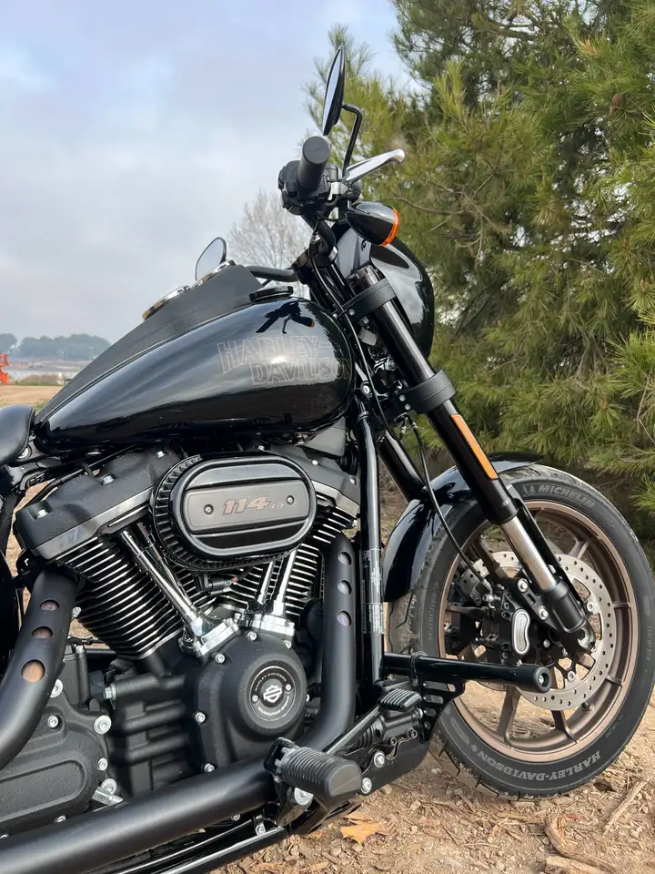 Harley-Davidson Low Rider S - Vista 8