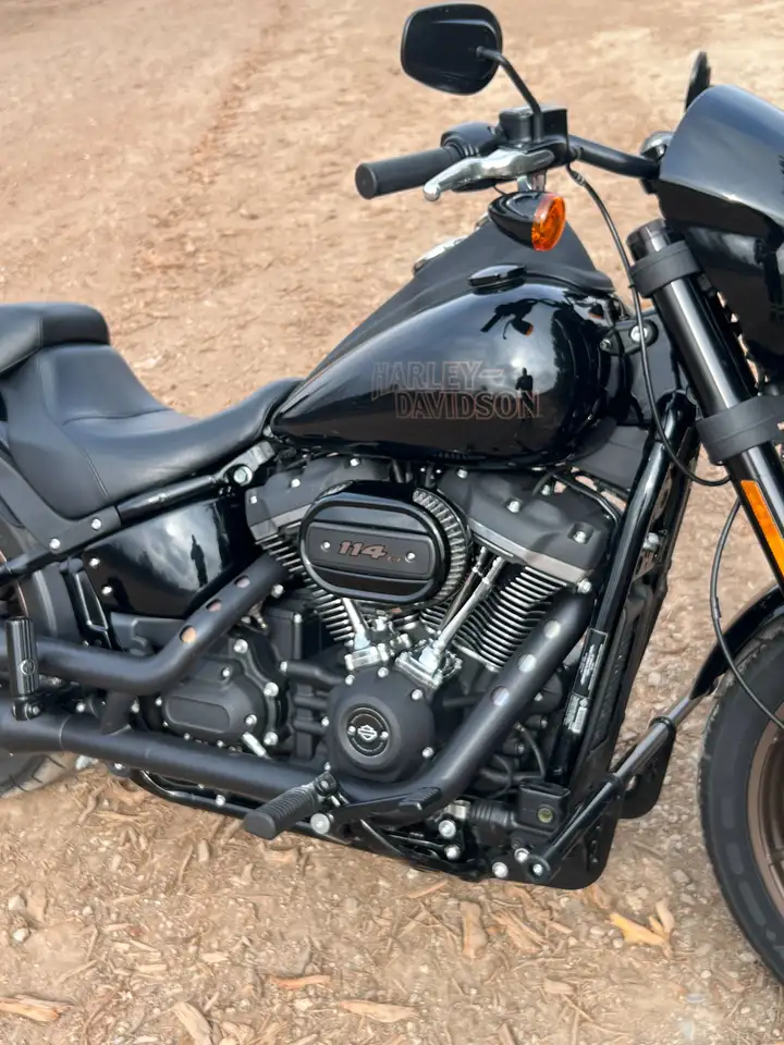 Harley-Davidson Low Rider S - Vista 9