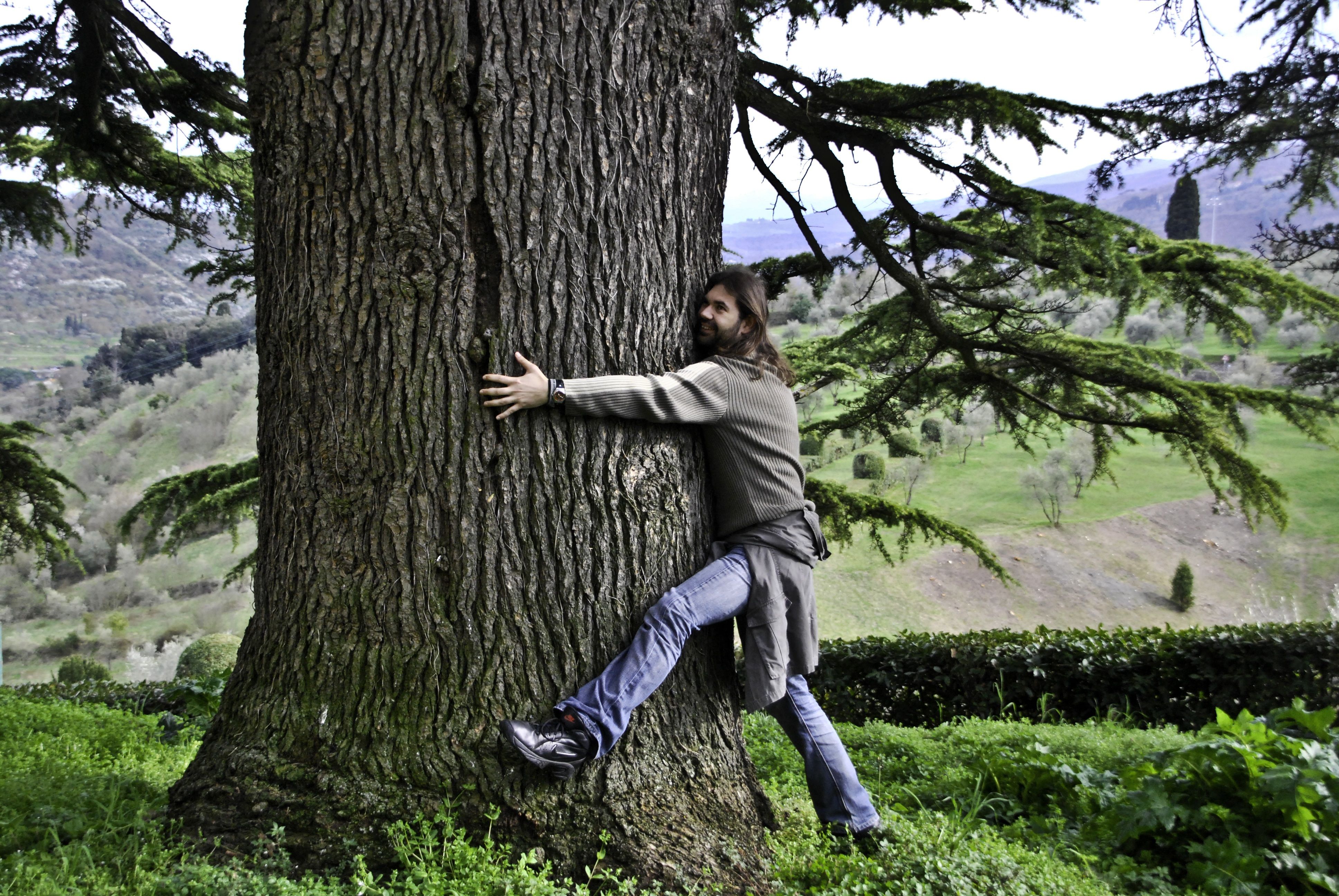 A bearded man hugs a big tree to get a little support for his mental health.