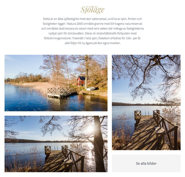 Skärmbild av Forsbergs Mäklarbyrå – Sektion med beskrivning och 3 första bilderna