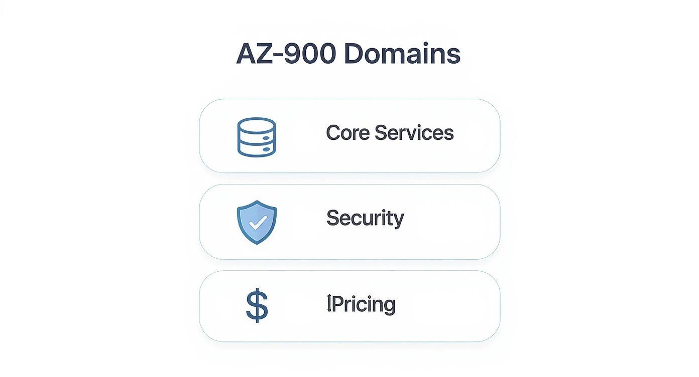 Infographic about az 900 practice exam