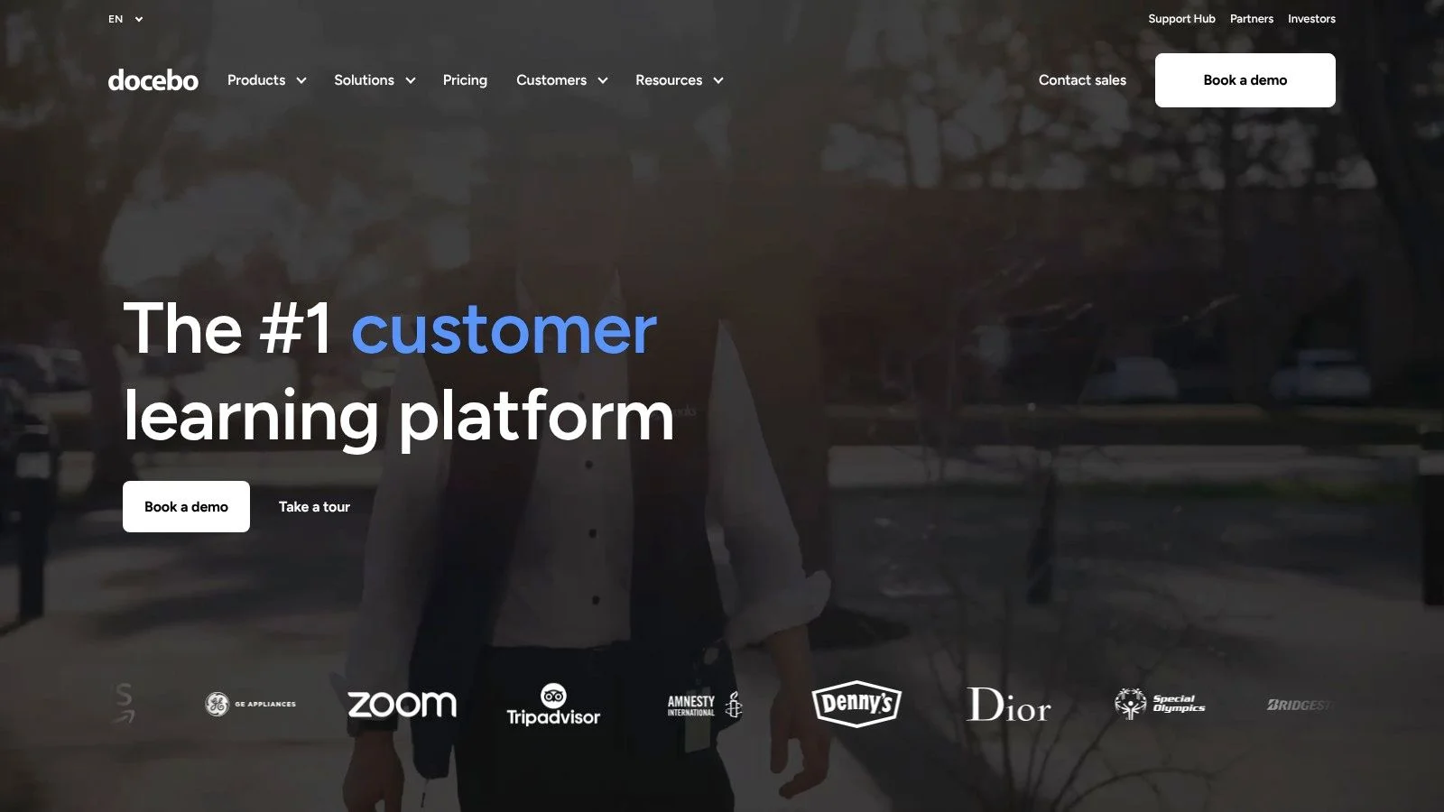 MindMesh Academy