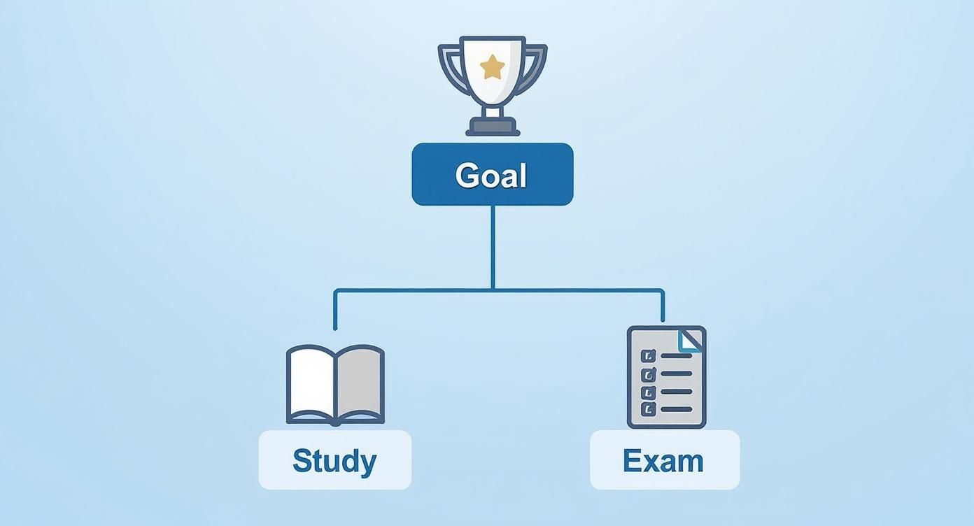 Infographic about how to get a CompTIA certification