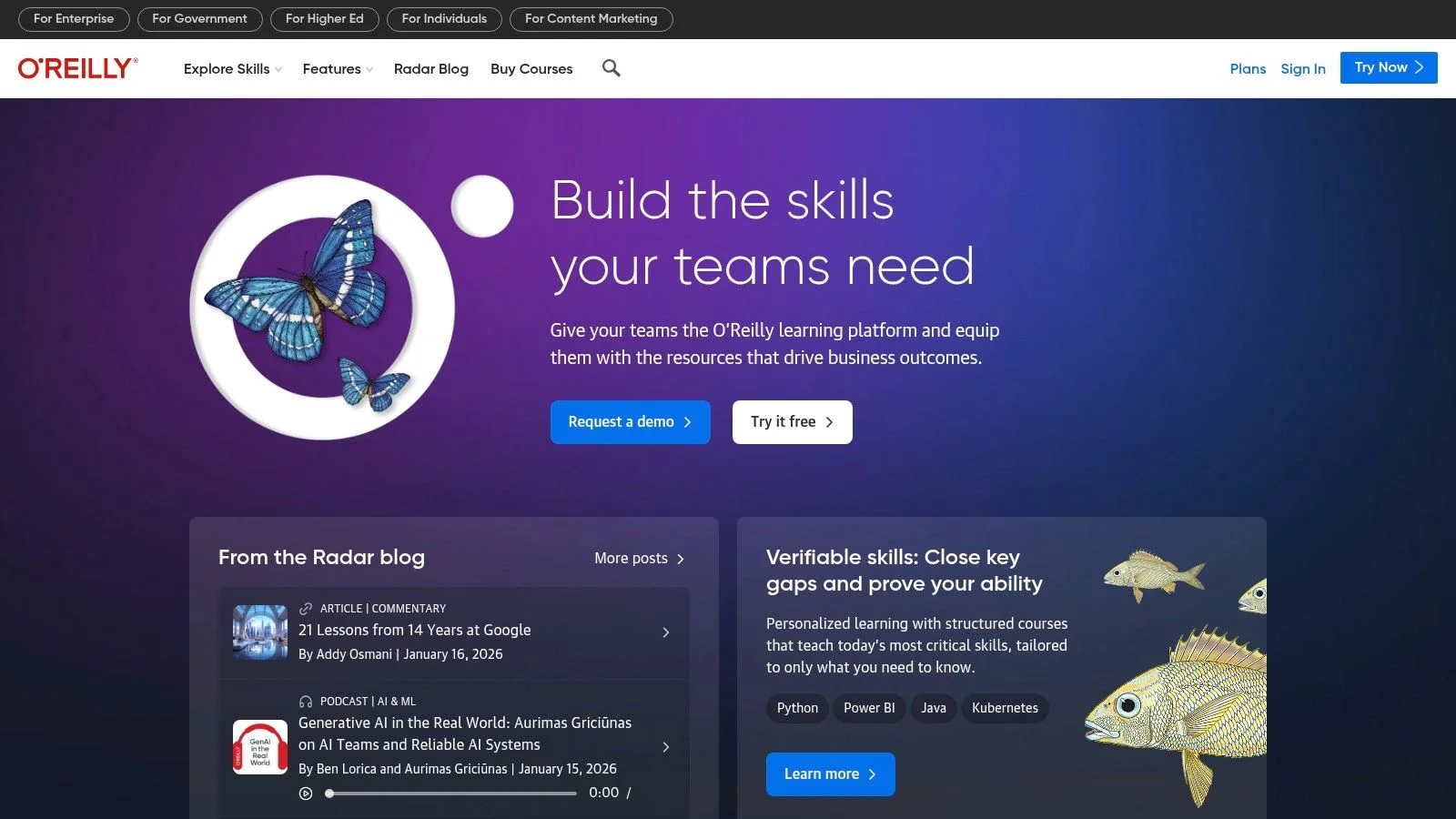 Udemy – CCNA Practice Test Courses (multiple instructors)