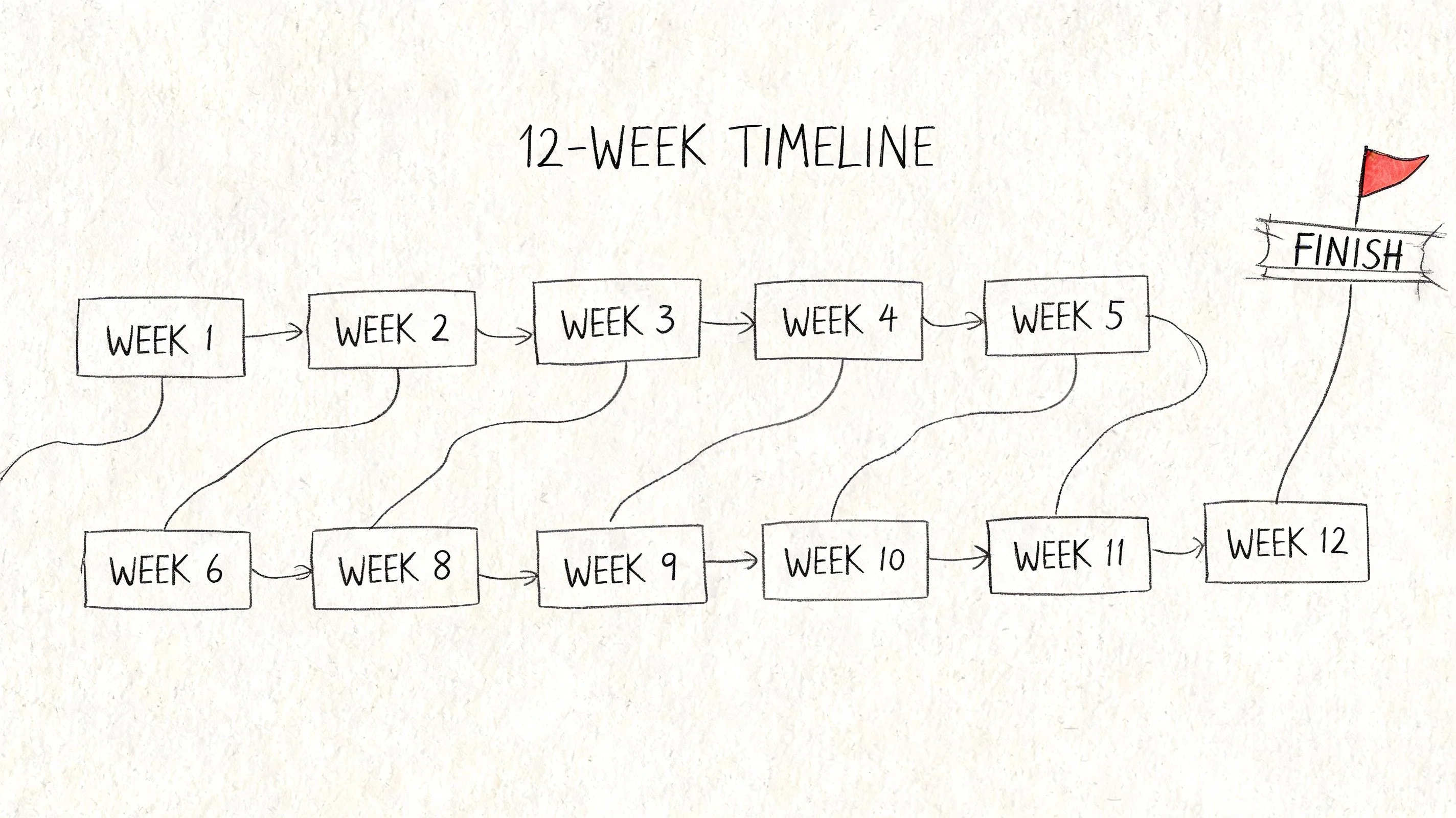 Flowchart depicting a 12-week study timeline.