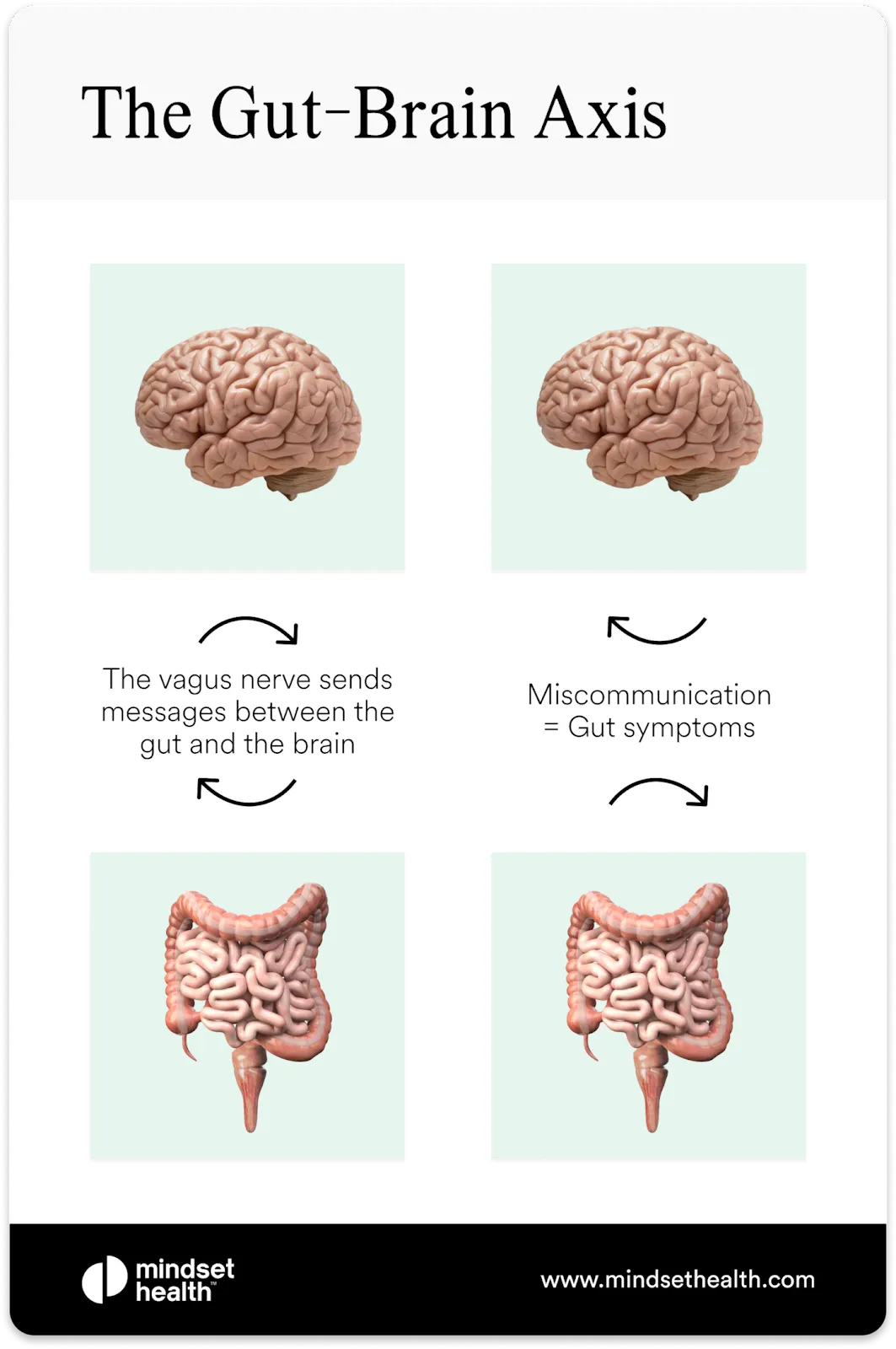 The Gut-Brain Axis