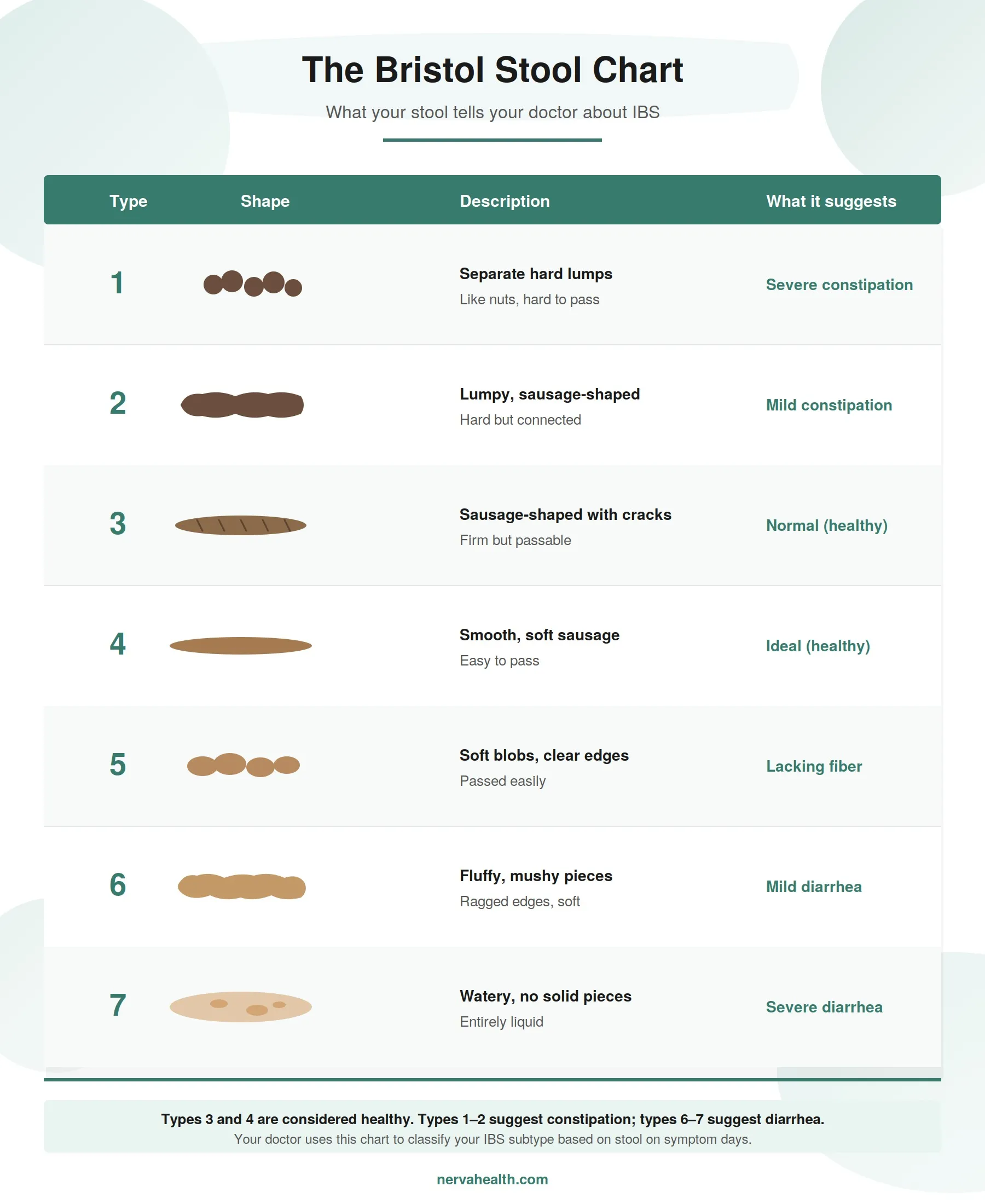 Bristol Stool Chart infographic: Bristol Stool Chart infographic showing the seven stool types used to classify IBS. Types 1 and 2 suggest constipation, types 3 and 4 are healthy, type 5 suggests lack of fiber, and types 6 and 7 suggest diarrhea.