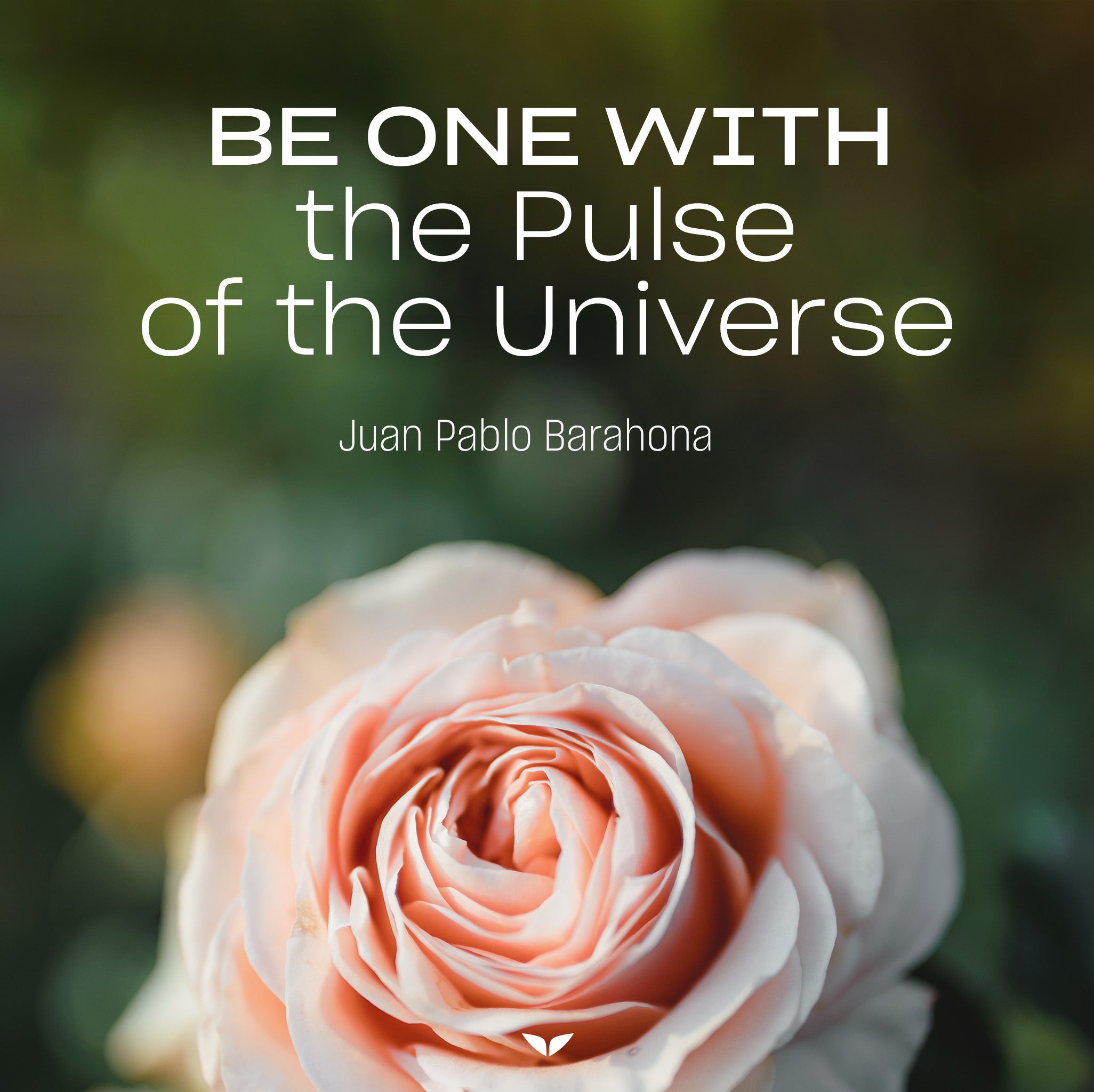 Be One With the Pulse of the Universe
