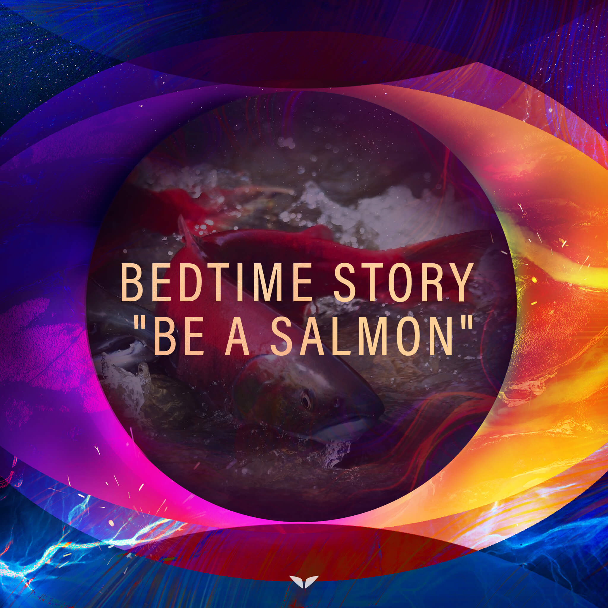 Bedtime Story: “Be a Salmon”