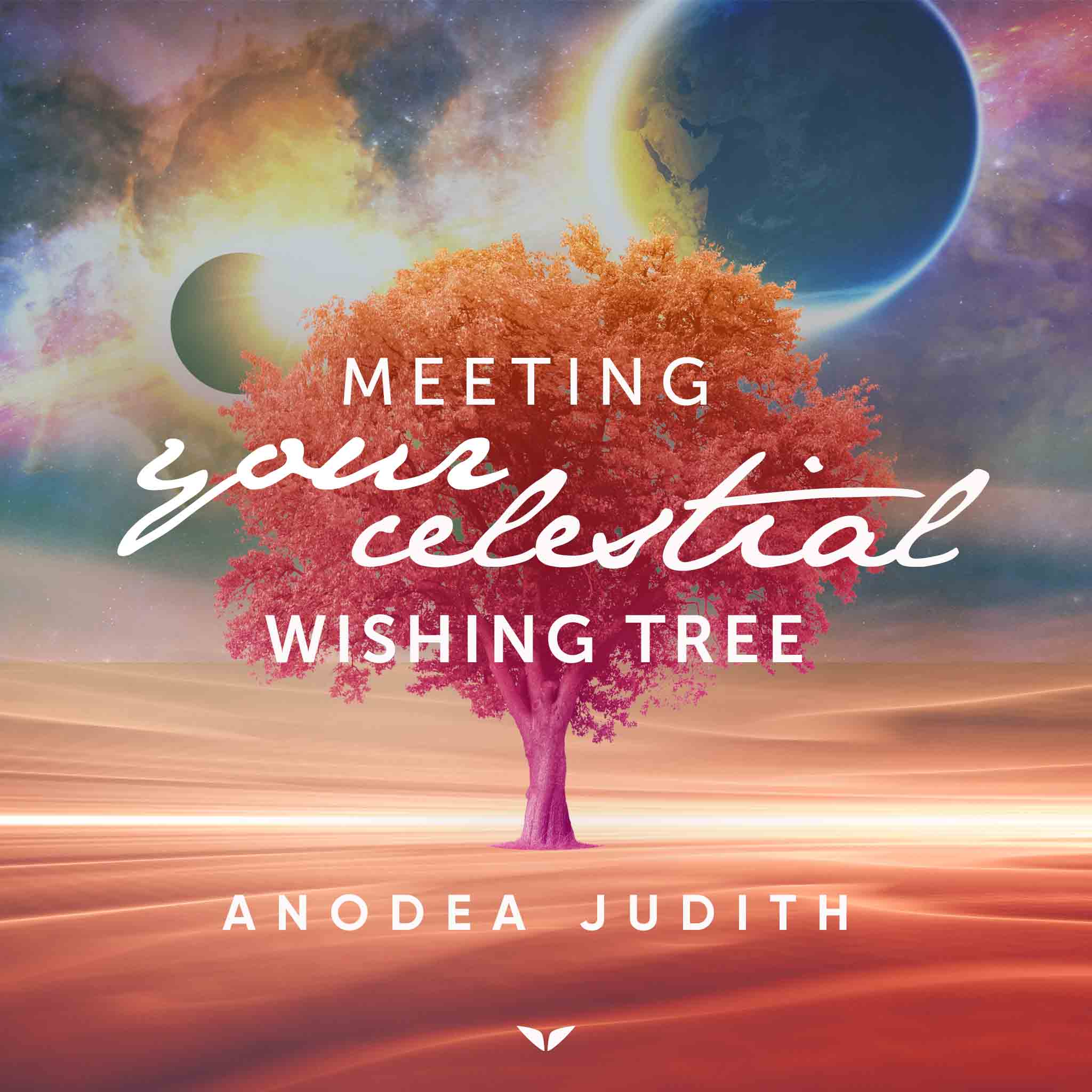 Meeting Your Celestial Wishing Tree